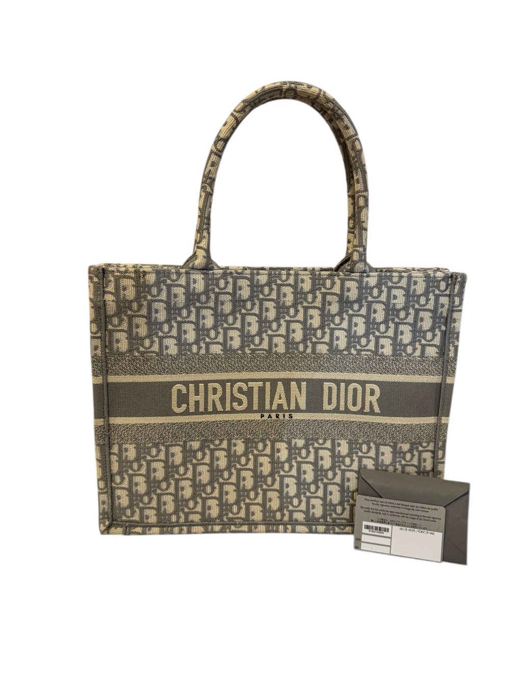 Christian Dior Book Tote Gris
