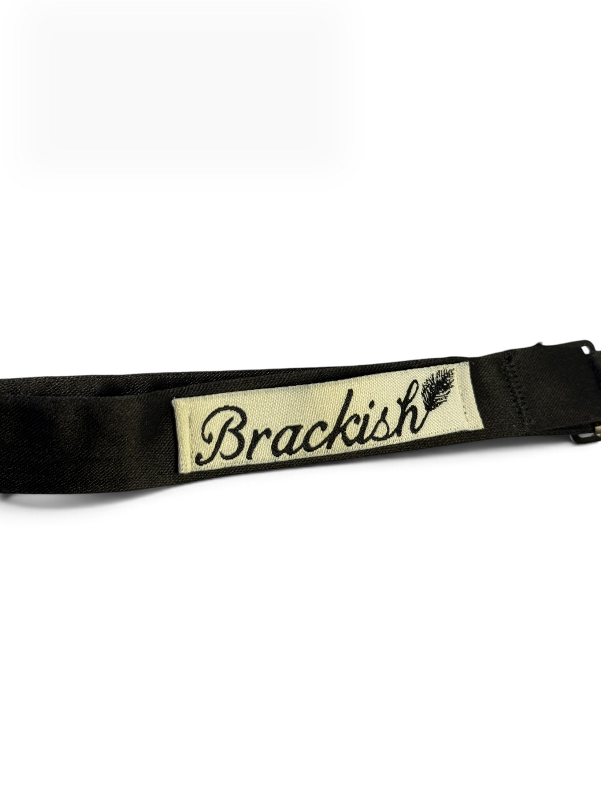 Brackish Feather Bow Tie