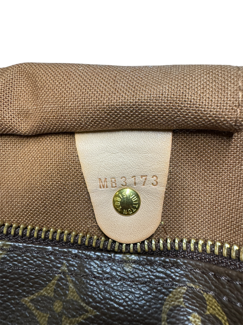 Bolso Louis Vuitton Speedy monogram